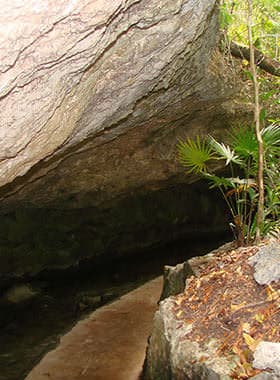 Grieta Ixchel y Cueva del Dorado